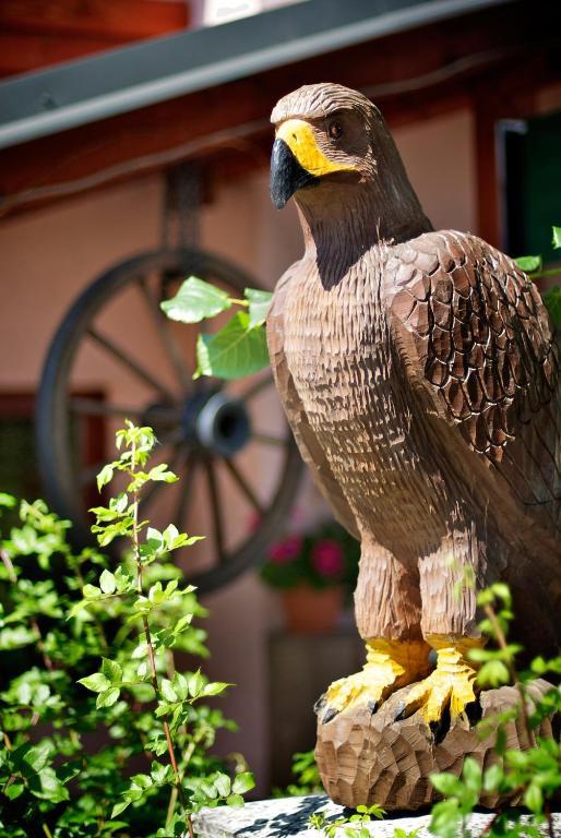 Penzion Plesnivec Poprad Exterior foto